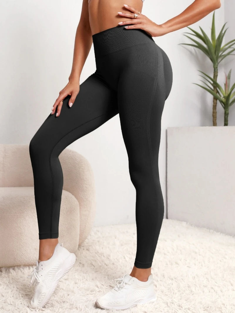 gym pants